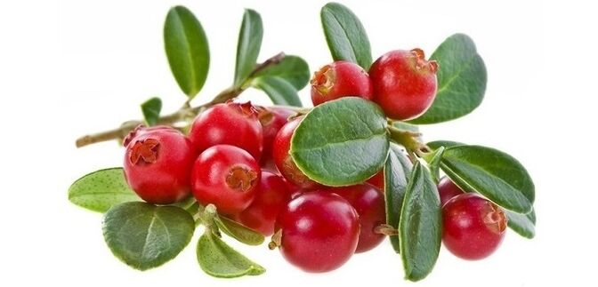 Quickly treat cystitis with natural cranberry capsule Cyto Forte