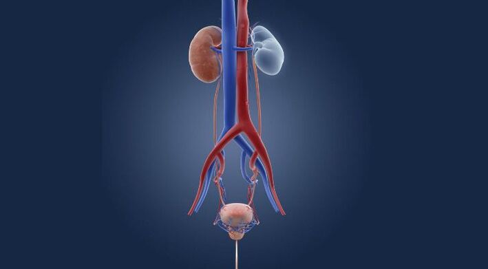 postcoital cystitis